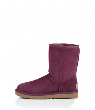 KID's Classic Short Violet 5251